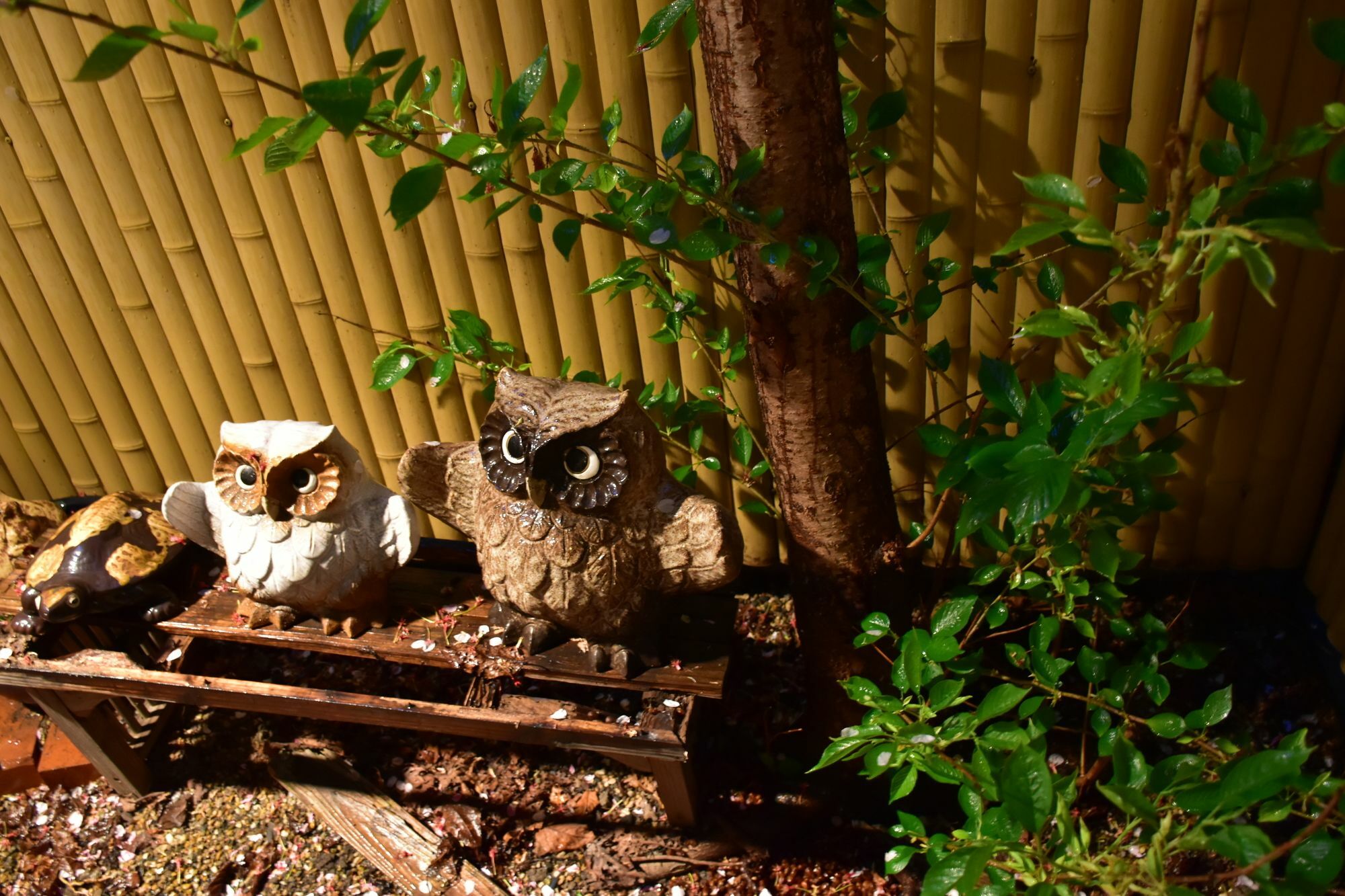 Ryokan Shimizu Kyoto Ngoại thất bức ảnh